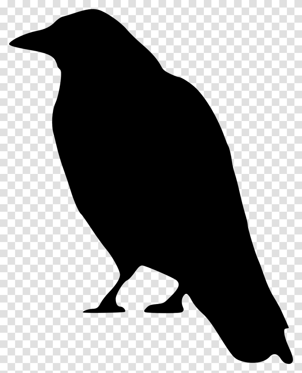Crow Standing Svg Clip Arts Crow Clip Art, Gray, World Of Warcraft Transparent Png