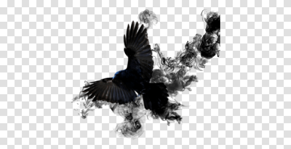 Crow Sticker Smoke Bird Black Wings Feathed, Animal, Jay, Blackbird, Agelaius Transparent Png