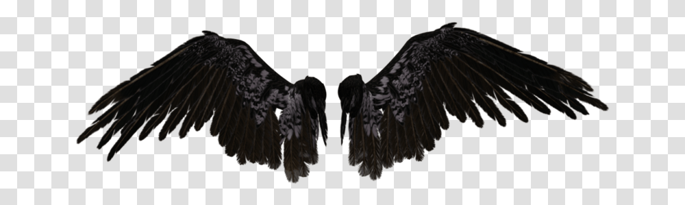 Crow Wings Black Angel Wings, Vulture, Bird, Animal, Eagle Transparent Png