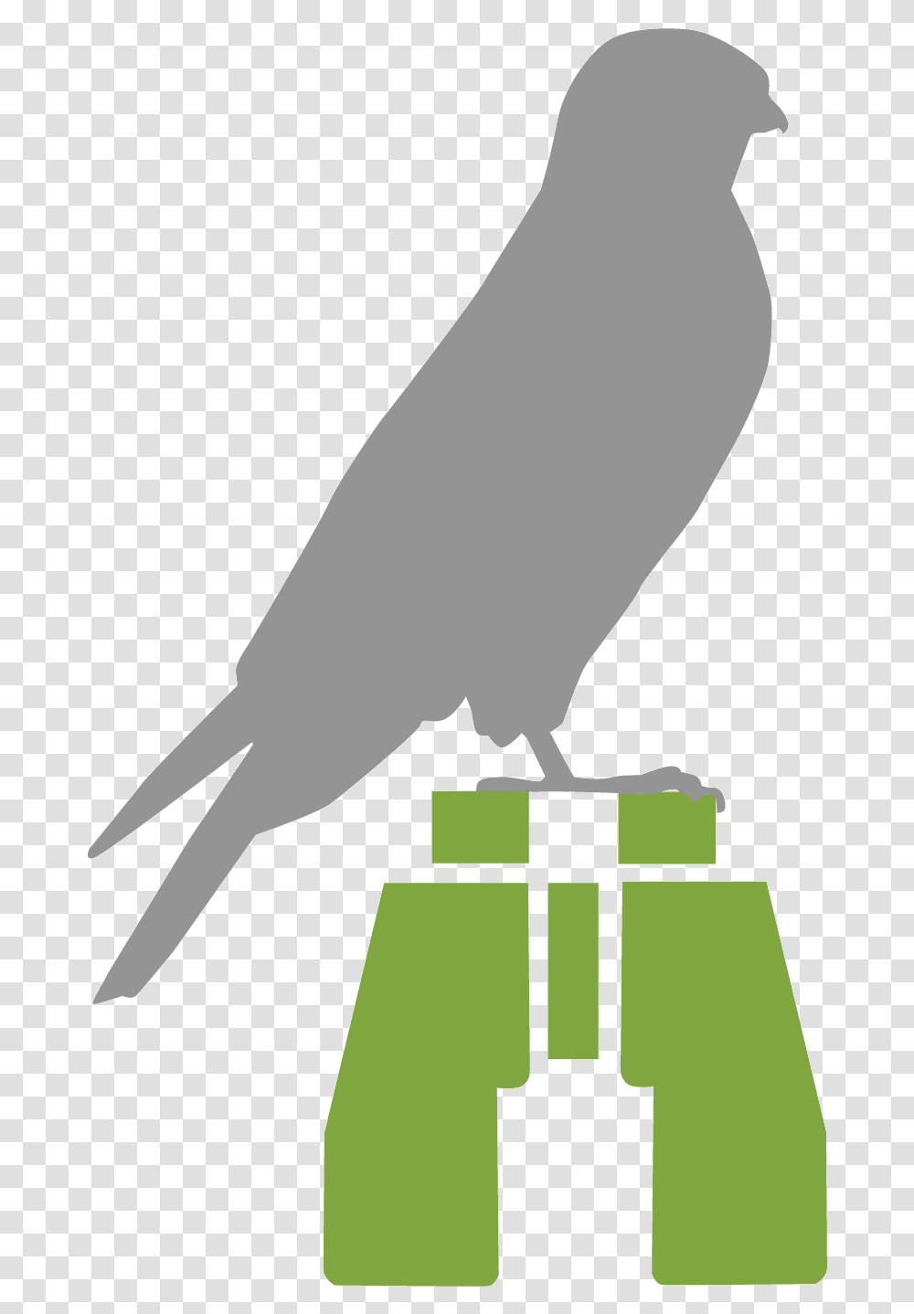 Crow Wings Browse By Family All About Birds Binoculars Clip Art, Animal, Finch, Kite Bird, Seagull Transparent Png