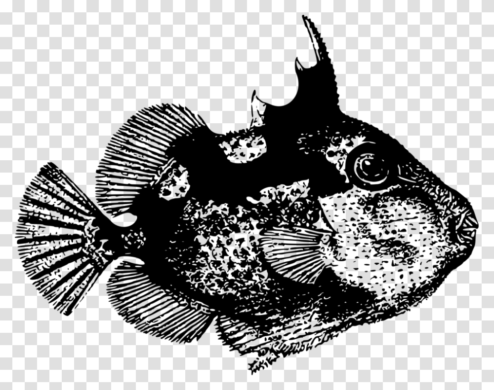 Crown Drawing Triggerfish, Gray, World Of Warcraft Transparent Png