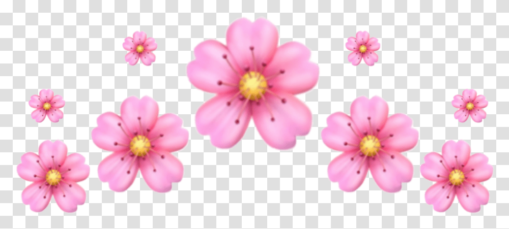Crown Emoji Flower Cherry Sticker By Girly, Plant, Blossom, Petal, Cherry Blossom Transparent Png