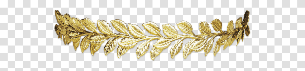 Crown Gold Golden Leaf Head Gold Leaf Crown, Plant, Astragalus, Flower, Grass Transparent Png