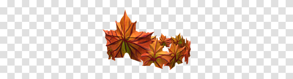 Crown Of The Fall Roblox Wikia Fandom Maple Leaf, Plant, Tree, Person, Human Transparent Png