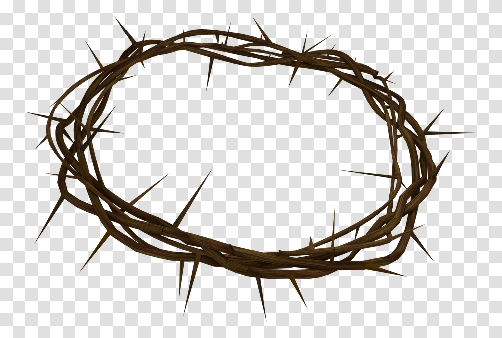 Crown Of Thorns Background 1st Sunday In Lent 2020, Root, Plant Transparent Png