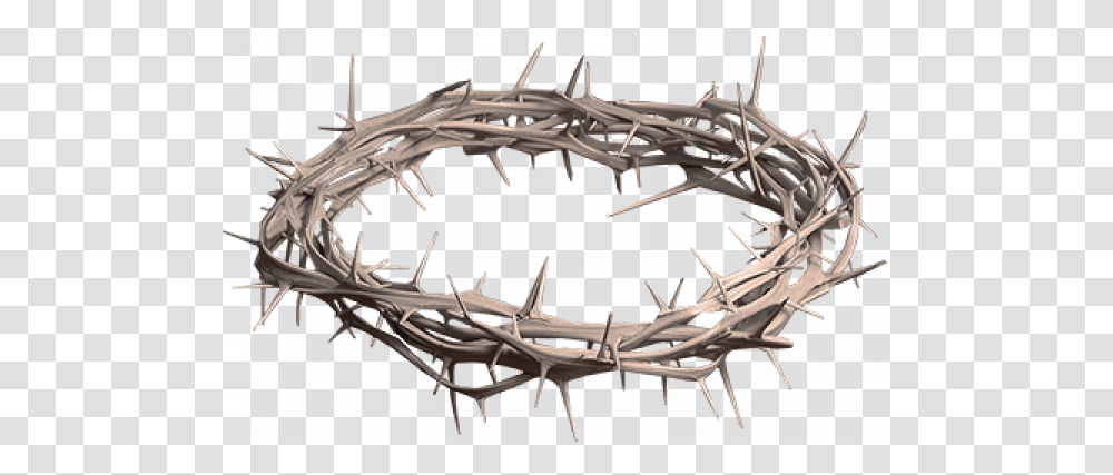 Crown Of Thorns Background Twig, Antler Transparent Png