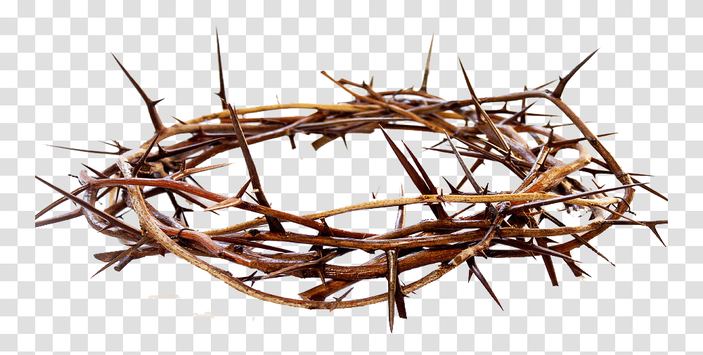 Crown Of Thorns Free Pic Crown Of Thorns, Wire, Barbed Wire, Rust, Hoop Transparent Png