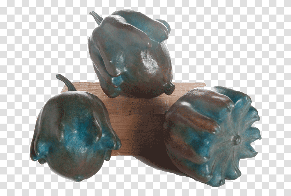 Crown Of Thorns Gourds Bell Pepper, Accessories, Accessory, Jewelry, Ornament Transparent Png