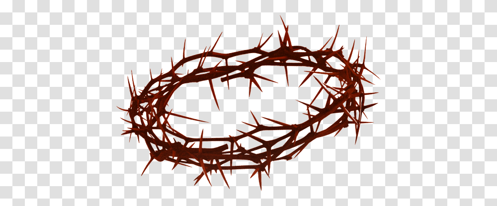 Crown Of Thorns Hd Crown Of Thorns Hd Images, Barbed Wire, Modern Art, Spider Transparent Png