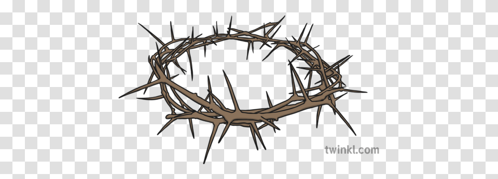 Crown Of Thorns Illustration Espinas, Antler Transparent Png