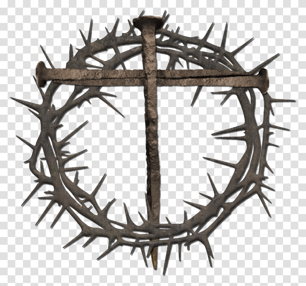 Crown Of Thorns Thorns Spines And Prickles Nail Cross, Antler Transparent Png