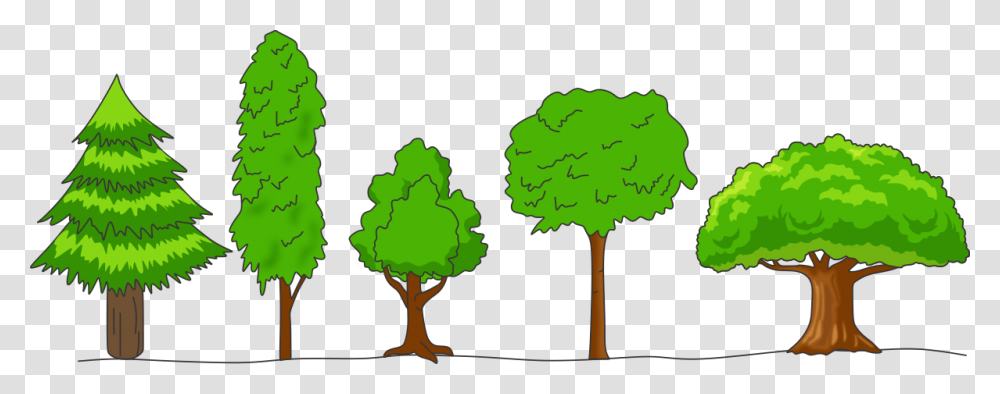 Crown Of Trees, Plant, Vegetation, Green, Label Transparent Png