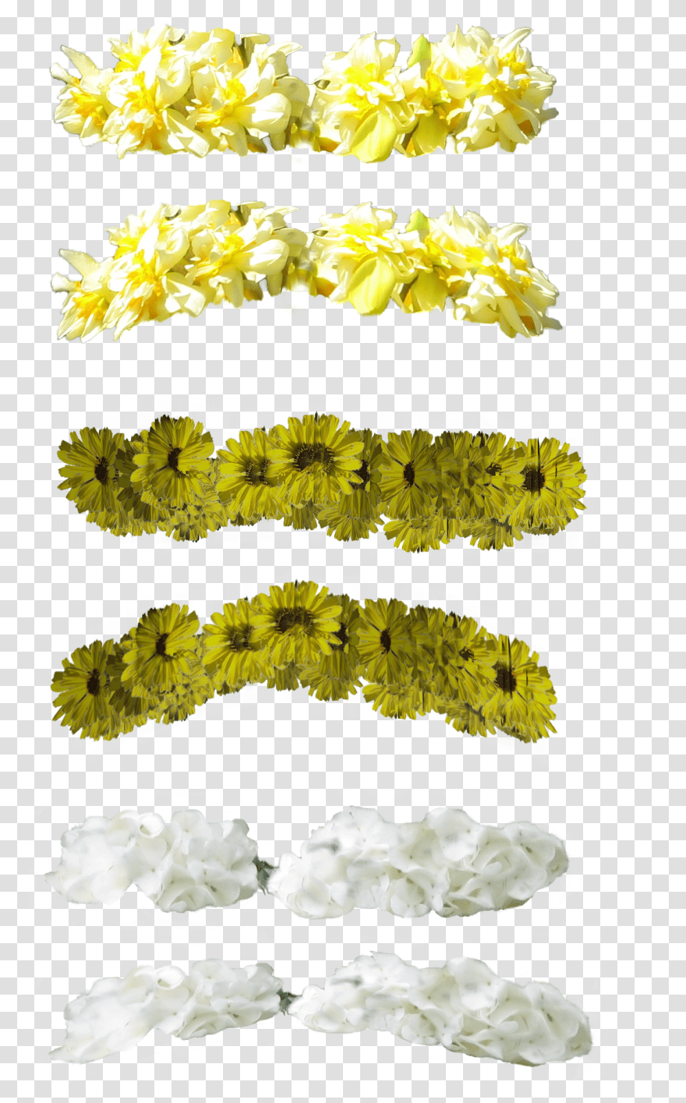Crown Tumblr Crown Tumblr Green And Yellow Crown Flower, Plant, Flower Arrangement, Ornament, Rug Transparent Png
