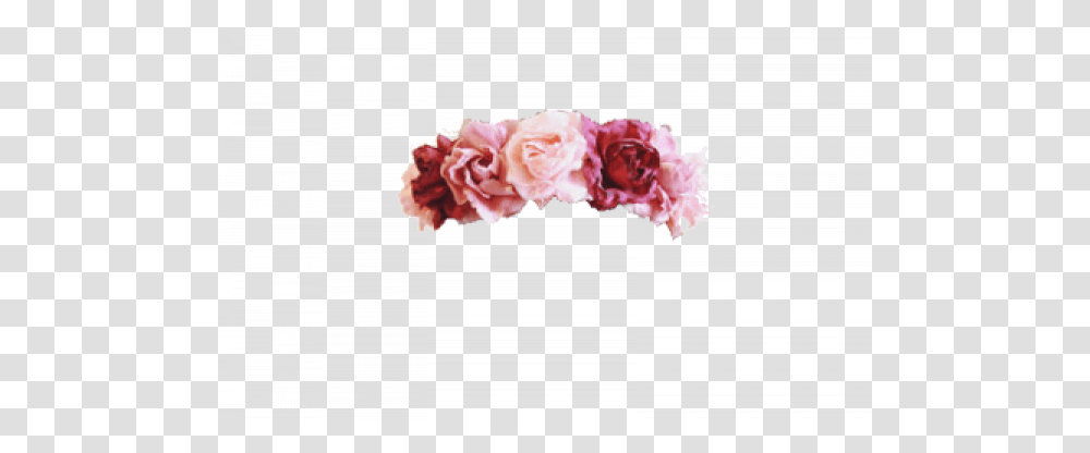 Crown Tumblr Images - Free Flower, Plant, Blossom, Carnation, Rose Transparent Png