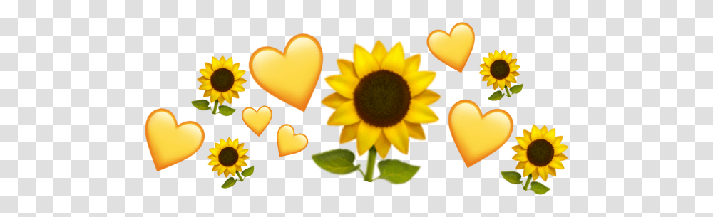 Crownheart Emodzhi Sunflower, Plant, Blossom, Petal, Daisy Transparent Png