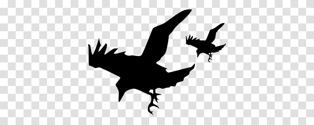 Crows Animals, Gray, World Of Warcraft Transparent Png