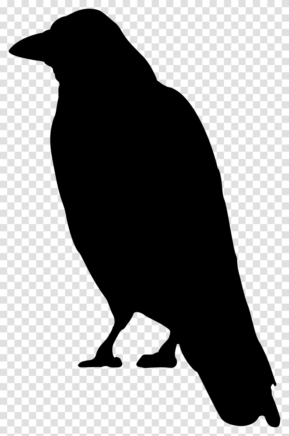 Crows Clip Art Crow Clip Art, Silhouette, Animal, Bird, Person Transparent Png