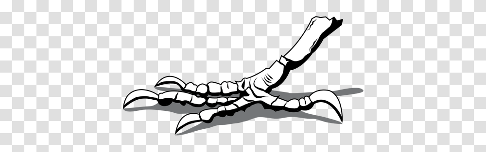 Crows Foot, Person, Human, Skeleton, Jaw Transparent Png