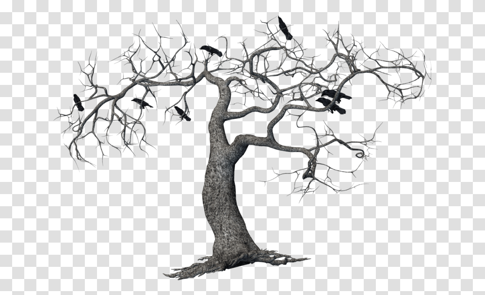 Crows On Tree, Plant, Tree Trunk, Root, Bonsai Transparent Png