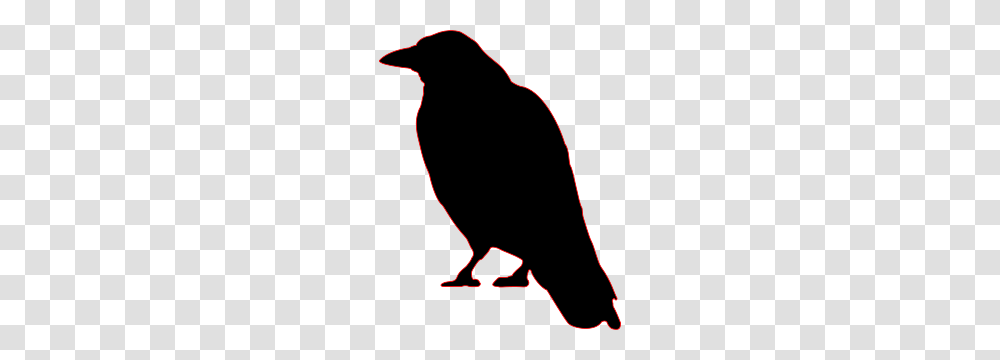 Crows Ravens Crow Crow, Outdoors, Mountain, Nature, Animal Transparent Png
