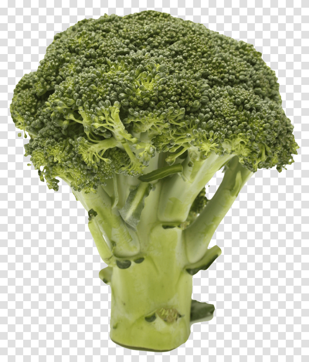 Cruciferous Vegetables Broccoli, Plant, Food Transparent Png