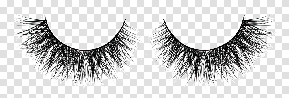 Cruelty Free Eyelash Extensions Beauty Hair Background Eyelash, Label, Plant, Silhouette Transparent Png