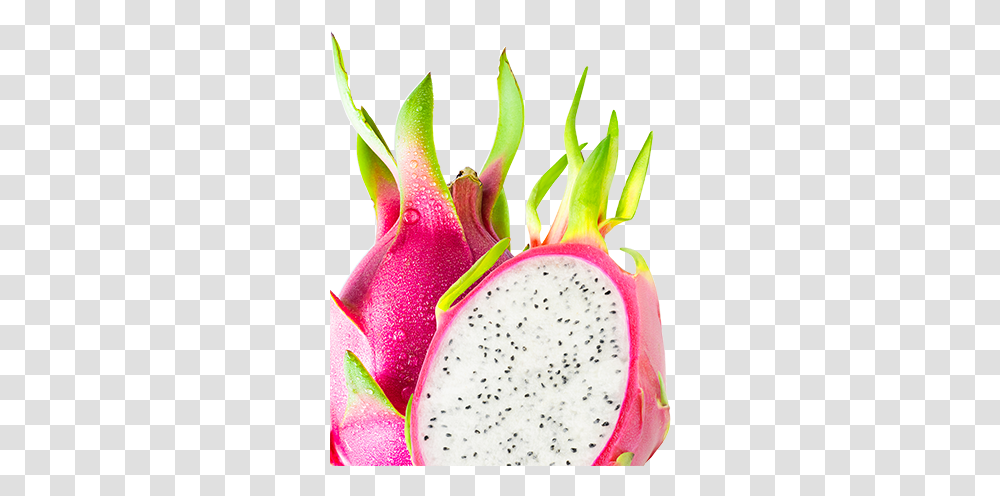 Crunchy White Dragon Fruit - Volupta Pitaya, Plant, Flower, Petal, Pollen Transparent Png