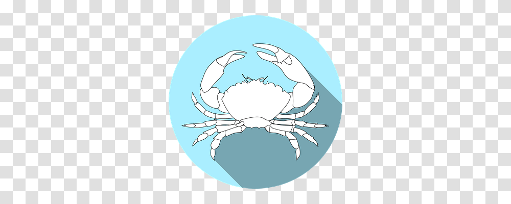 Crustacean Crab, Seafood, Sea Life, Animal Transparent Png