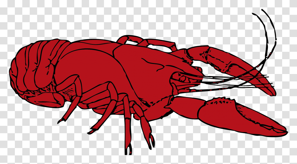 Crustacean Marine Free Collection Crawfish Clipart, Animal, Seafood, Sea Life, Insect Transparent Png