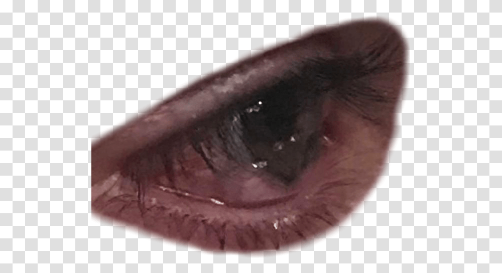 Crying Eyes Crying Eyes, Mineral, Crystal, Ear, Soil Transparent Png
