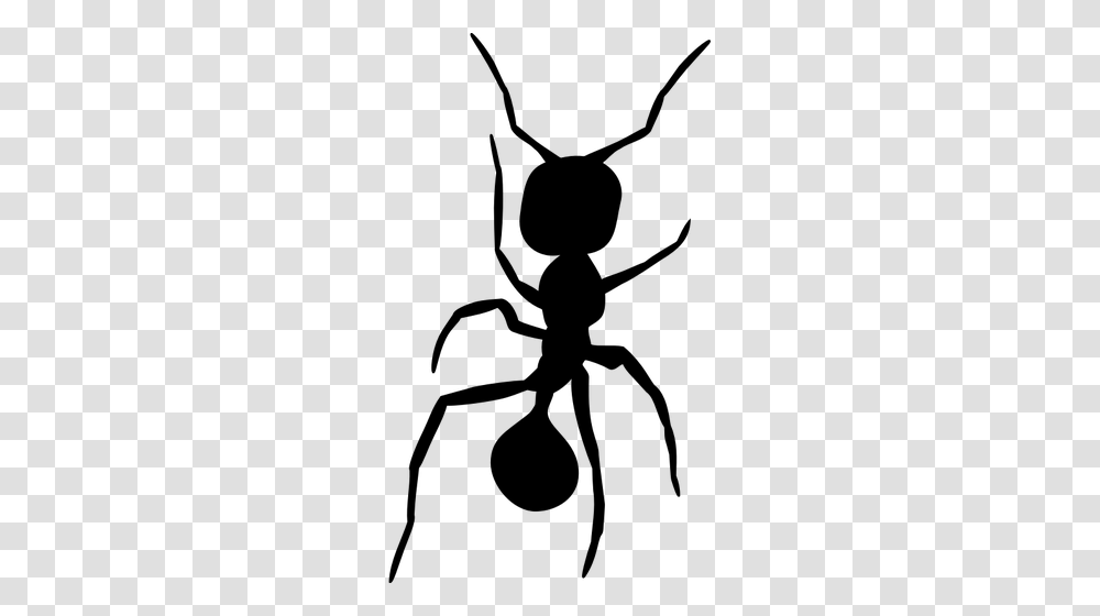 Crying Insect, Gray, World Of Warcraft Transparent Png