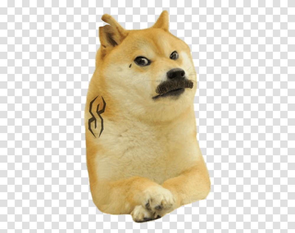 Crying Laughing Emoji Doge, Husky, Pet, Canine, Animal Transparent Png