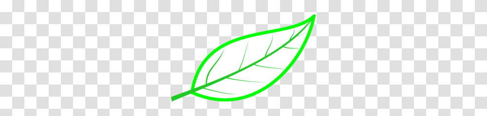 Cryptpoint Leaf Perimeter Clip Art, Plant, Meal, Food, Dish Transparent Png