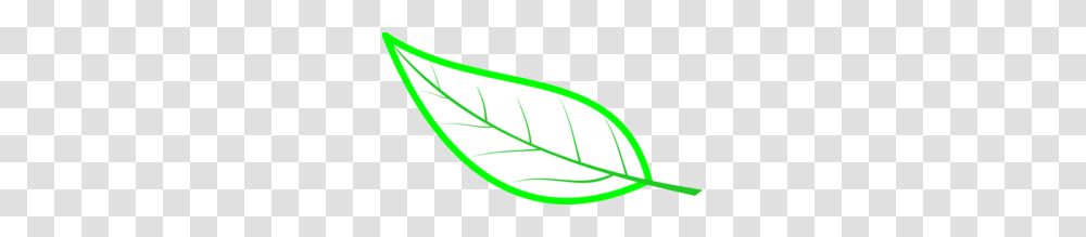 Cryptpoint Leaf Perimeter Clip Art, Plant, Tree Transparent Png