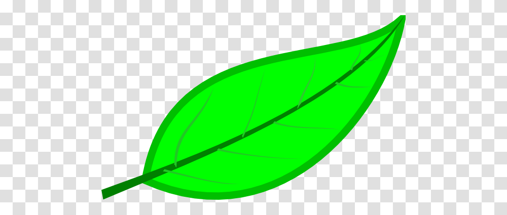 Cryptpoint Leaf Perimeter Clip Art, Plant, Veins Transparent Png
