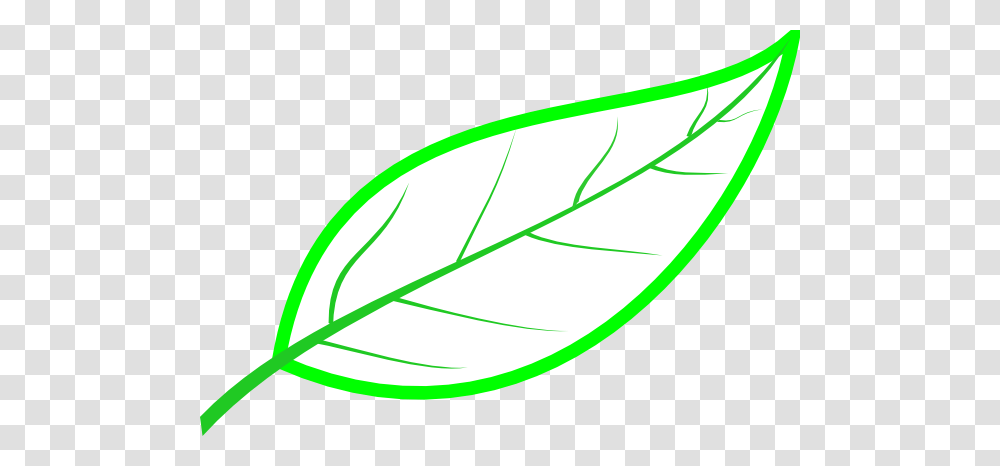 Cryptpoint Leaf Perimeter Clip Arts For Web, Plant, Green, Flower, White Transparent Png