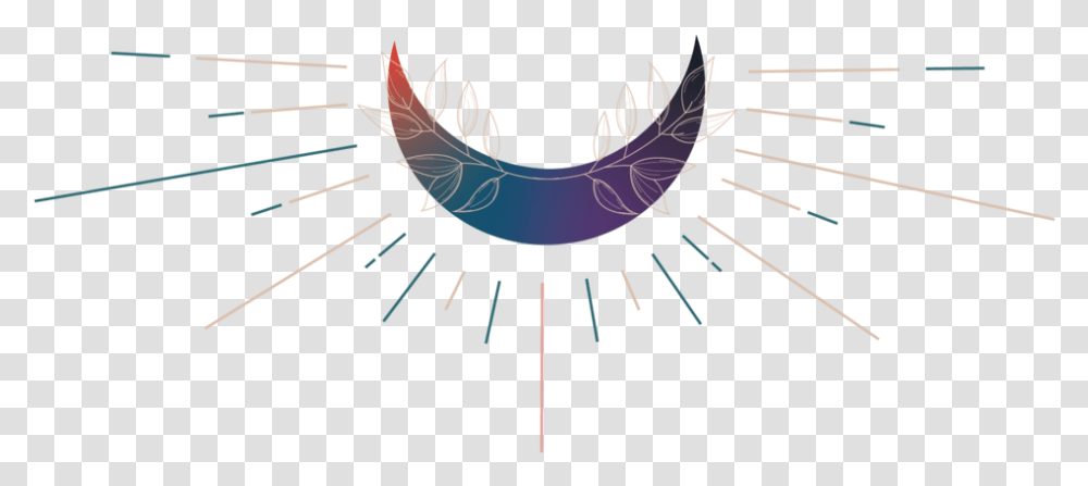 Crystal Healing Collective Dot, Lighting, Bird, Animal, Symbol Transparent Png