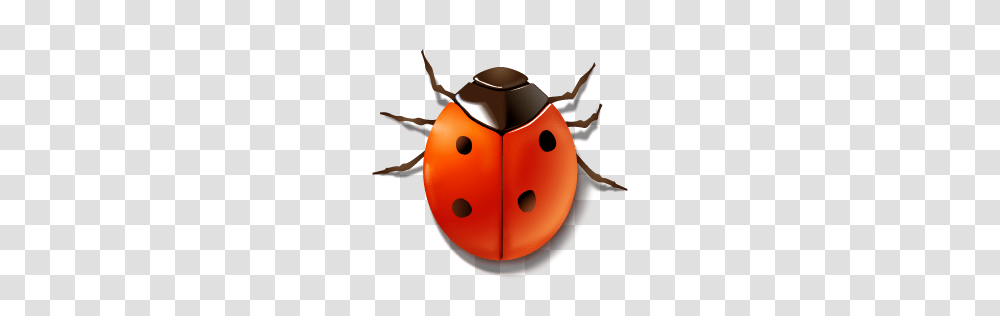 Crystal Project Bug, Snowman, Nature, Weapon, Weaponry Transparent Png