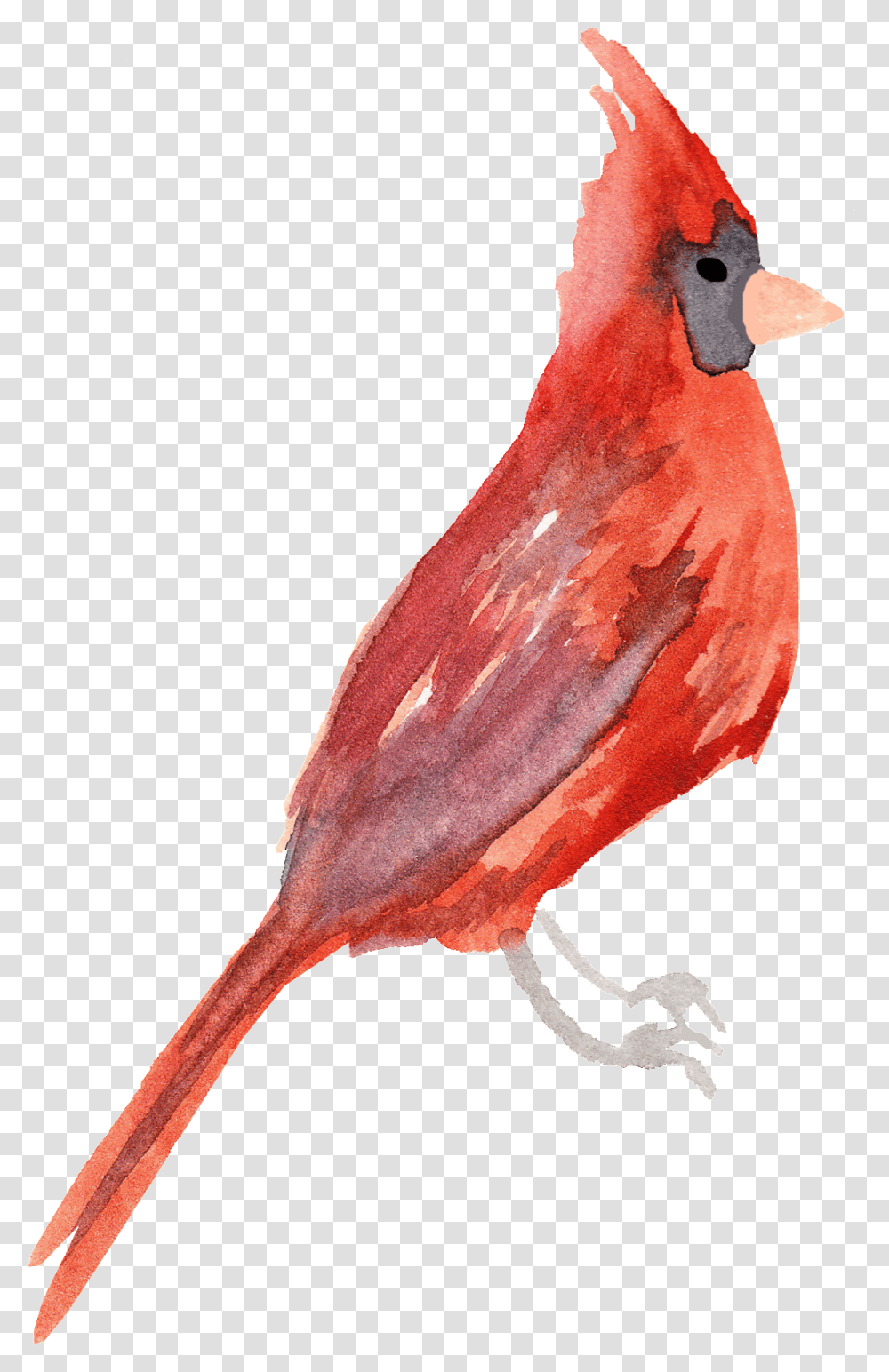 Crystal Red Bird Decorative Free Download, Animal, Cardinal, Chicken, Poultry Transparent Png