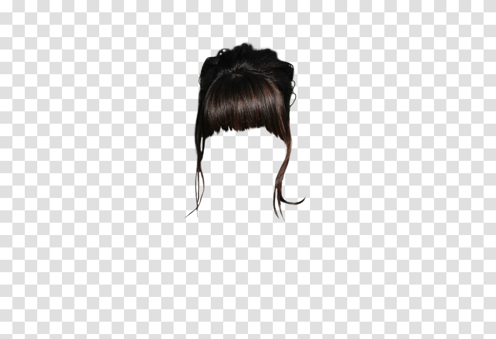 Crystal Reed Long Straight Formal Updo Hairstyle With Blunt Cut, Bird, Animal, Black Hair, Person Transparent Png