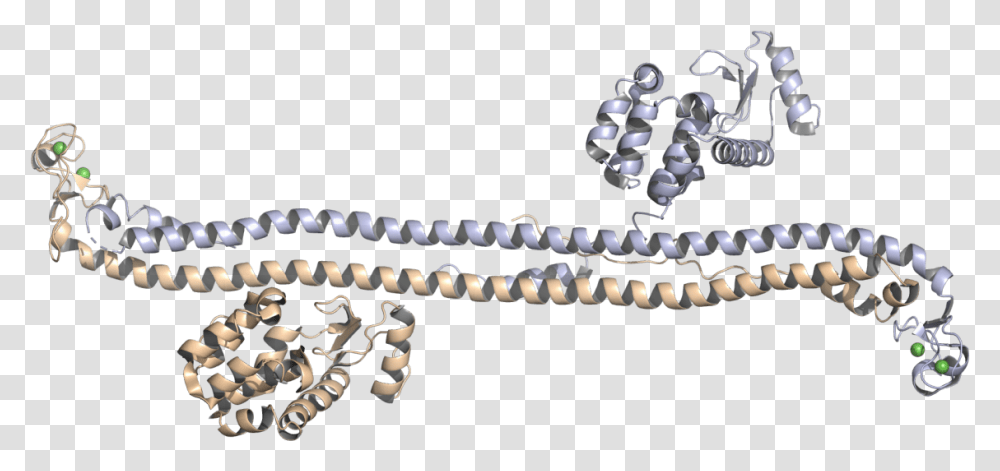 Crystal Structure Of The Trim5 Hiv 1 Restriction Factor, Accessories, Bead, Machine, Chain Transparent Png