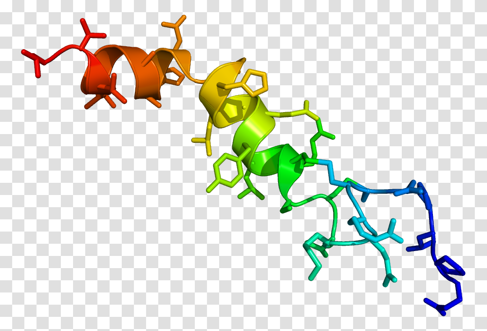 Crystallography Oreksyna, Animal, Insect, Invertebrate, Wasp Transparent Png