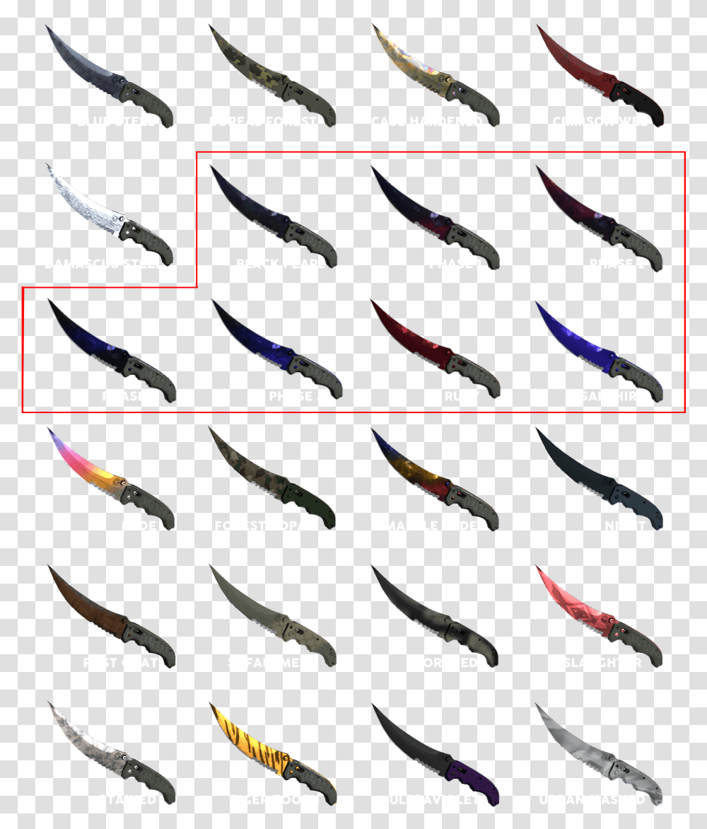 Csgo Bonus Codes Carmine, Animal, Fish, Eel Transparent Png