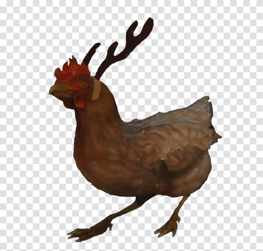 Csgo Chicken Clipart Cs Go Chicken Christmas, Poultry, Fowl, Bird, Animal Transparent Png