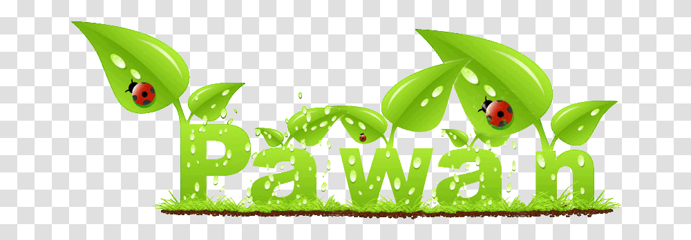 Css Flash And Pulse Effects Pawan Logo, Plant, Leaf, Jewelry, Accessories Transparent Png