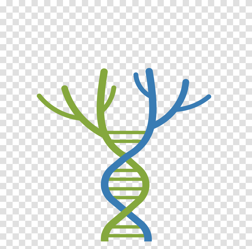 Ctf Tree, Green Transparent Png