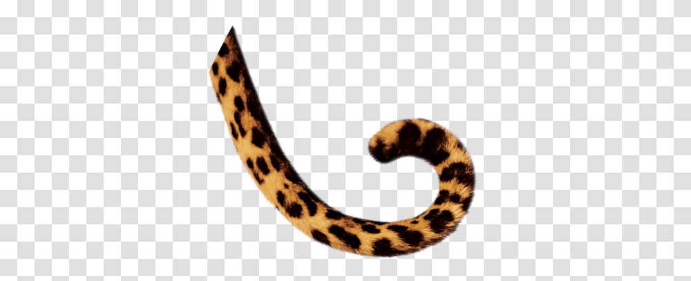 Cub Clipart Tiger Tail, Wildlife, Animal, Mammal, Cheetah Transparent Png
