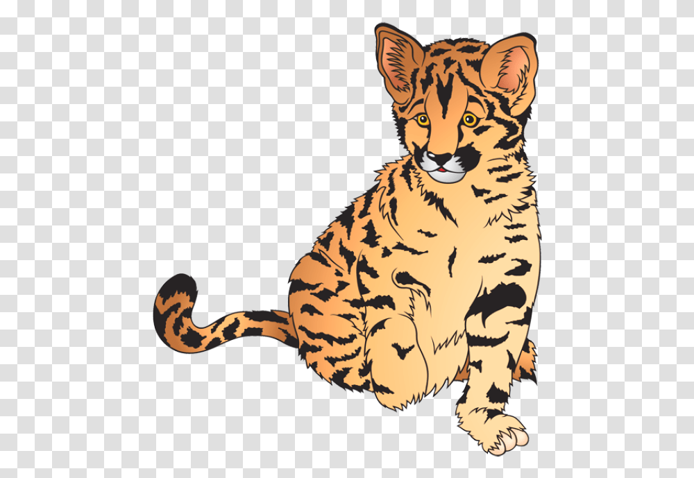 Cub Clipart Zoo Animal Leopard Cartoon, Tiger, Wildlife, Mammal, Panther Transparent Png