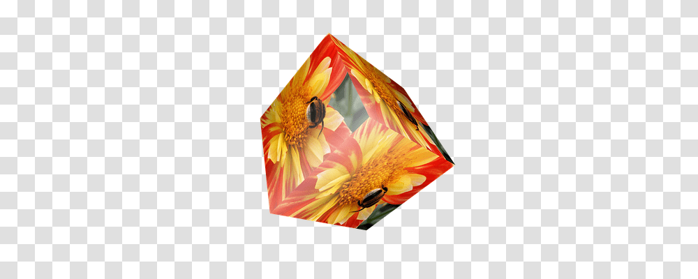 Cube Honey Bee, Insect, Invertebrate, Animal Transparent Png
