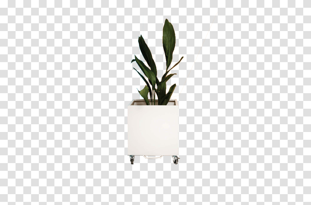 Cubic Planter Garden Accessories Contract Furniture, Leaf, Tabletop, Paper, Painting Transparent Png